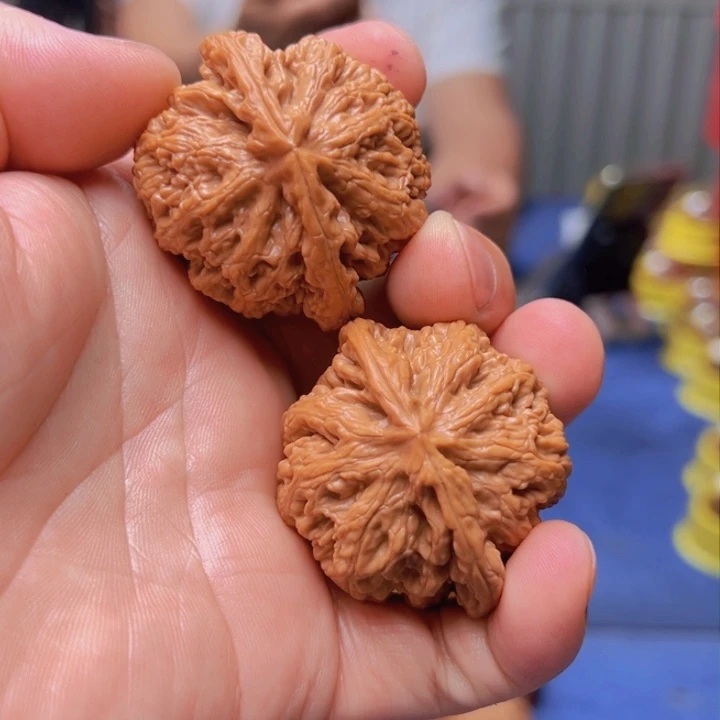 文玩核桃把件老*大粗筋