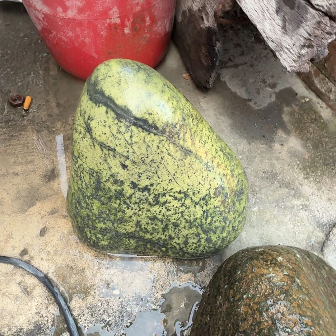 君***辉蛇纹石玉未镶嵌藏玉药王石精美茶壶