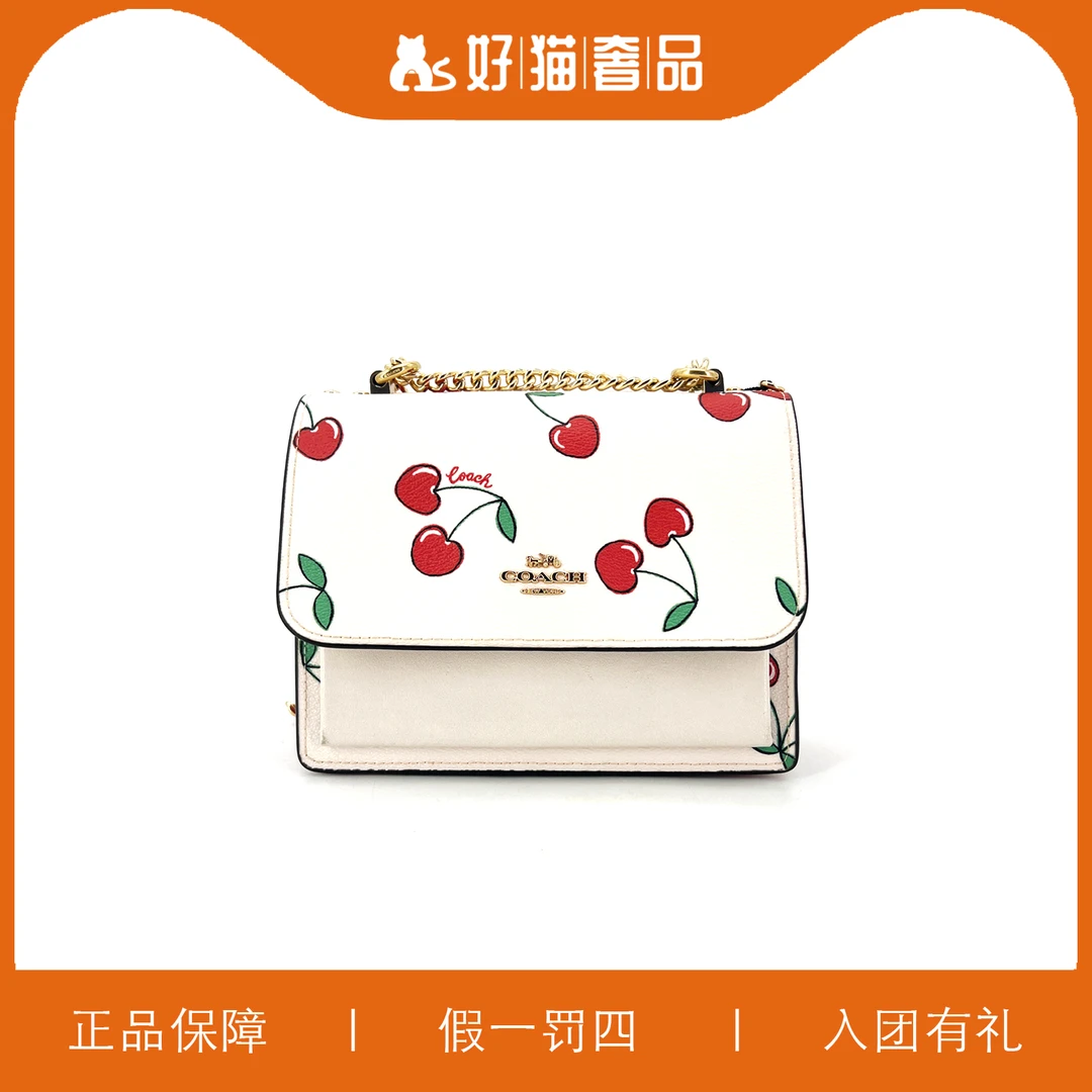 95新 COACH/蔻驰 蔻驰樱桃印花风琴包/F1036/18X14X6