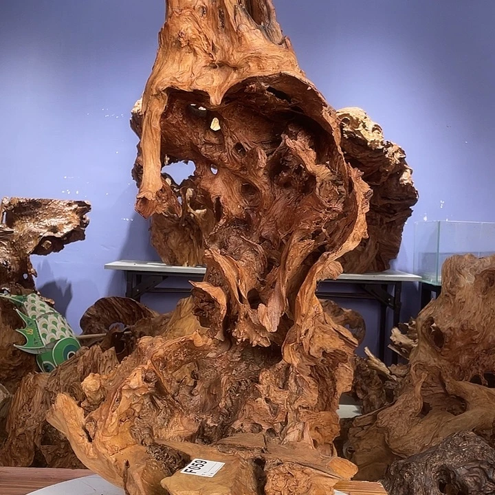 华***良香榧木12344567778888