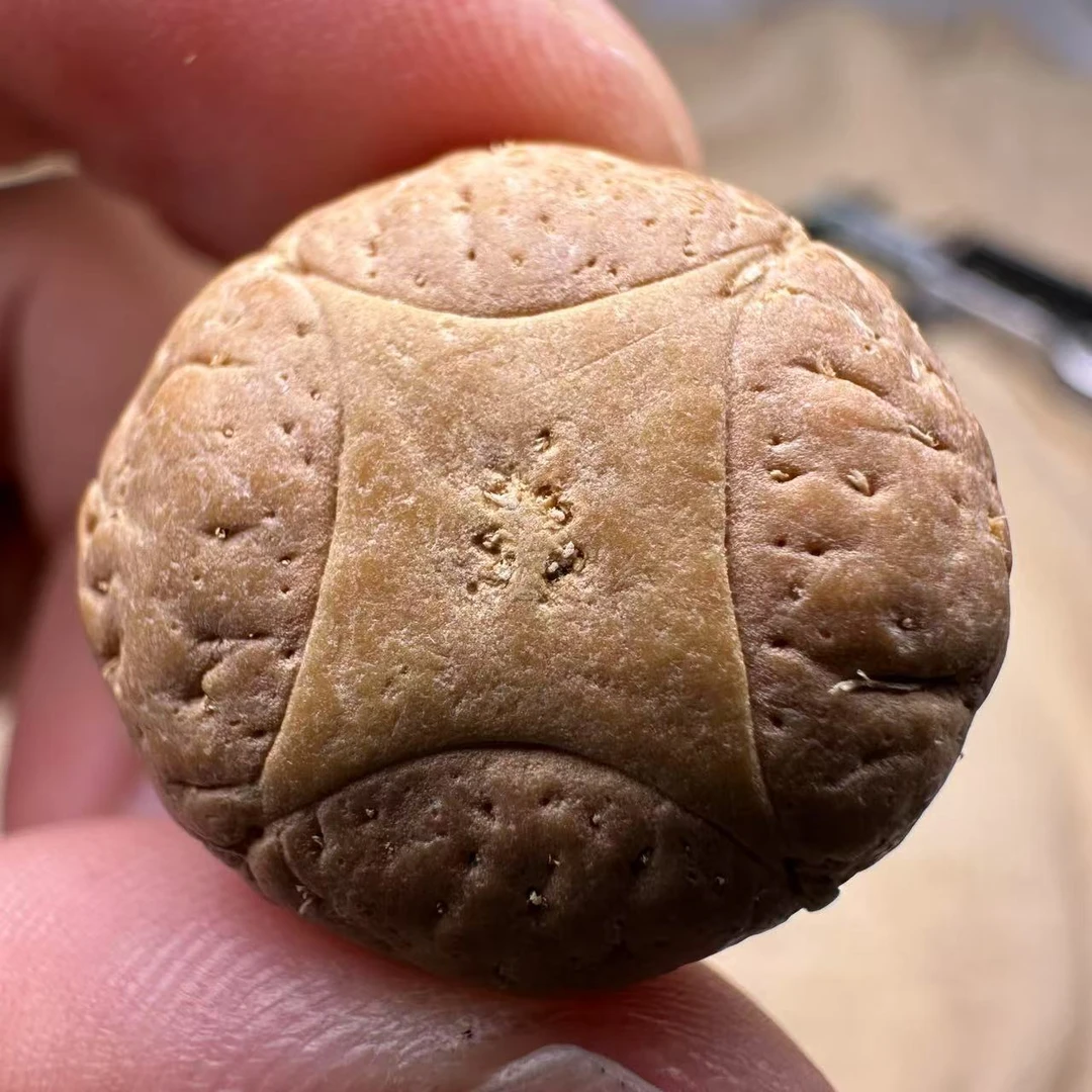 尼泊尔麒麟眼菩提，尺寸24，sss系列，货号S1
