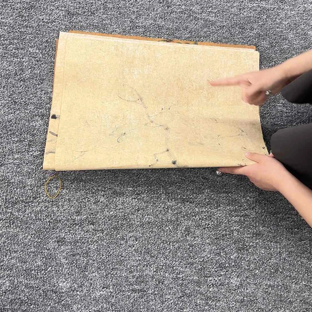 国画纯手绘字画作品欣赏