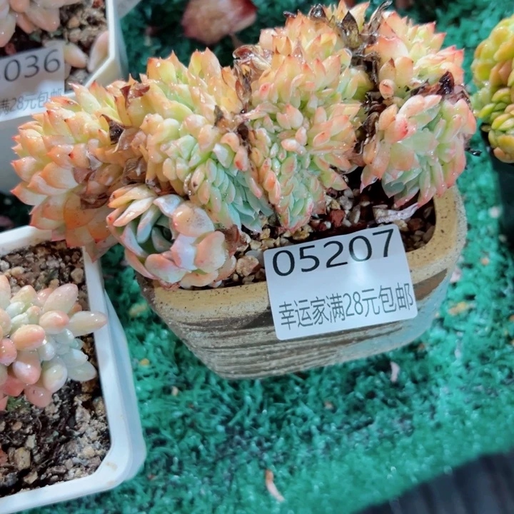 幸运的人会遇到你喜欢