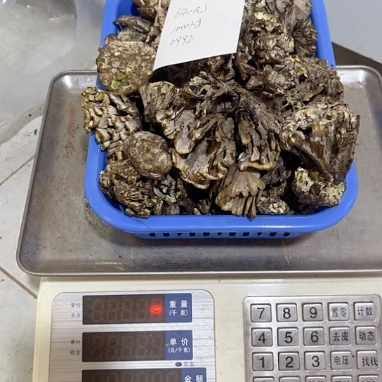 鸡纵超好吃中国大陆