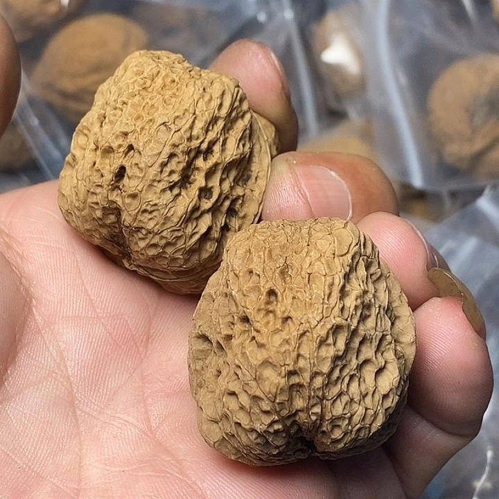 文玩核桃把件云南铁核桃100