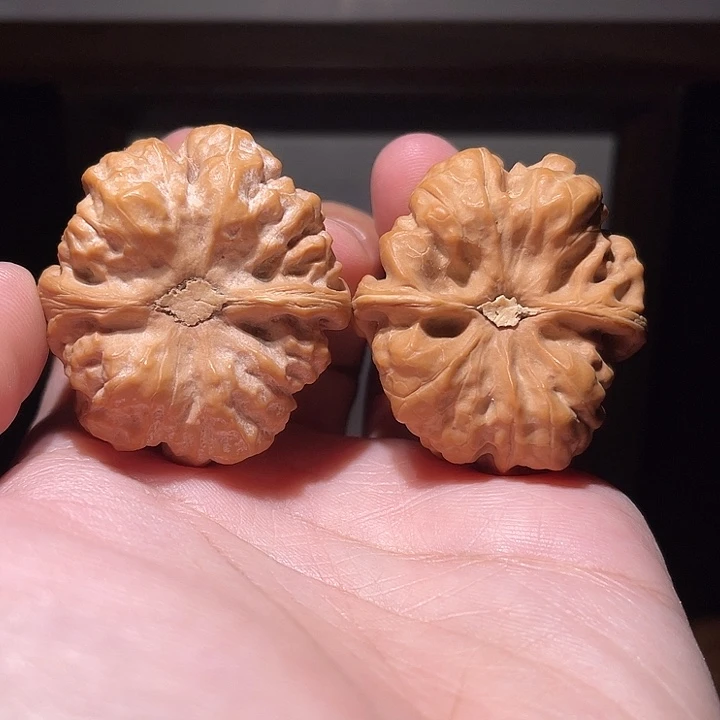 信***有手串/手链核桃014