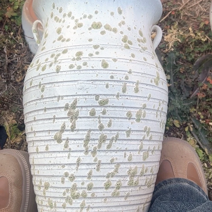 红陶口19高32福利价