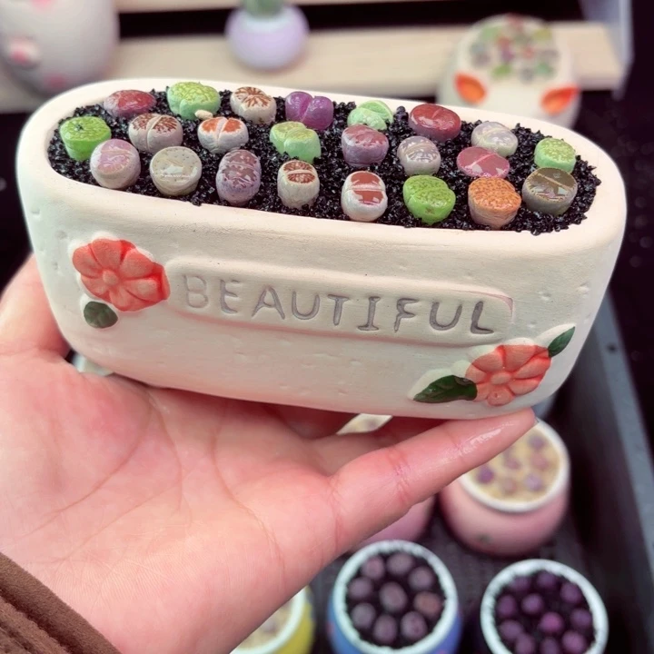 828凑满8包邮零下地区记得拍保温箱