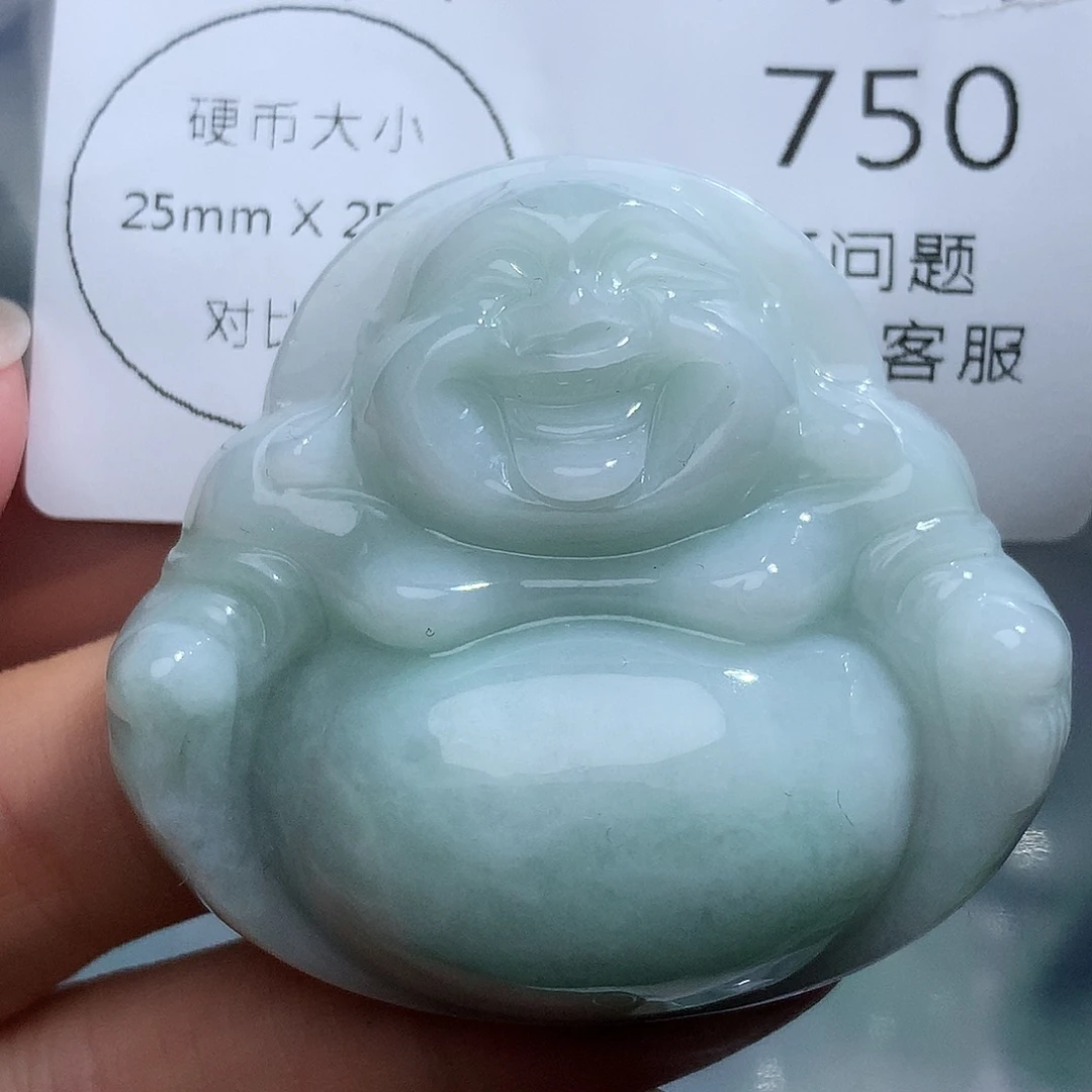 翡翠未镶嵌颈饰750