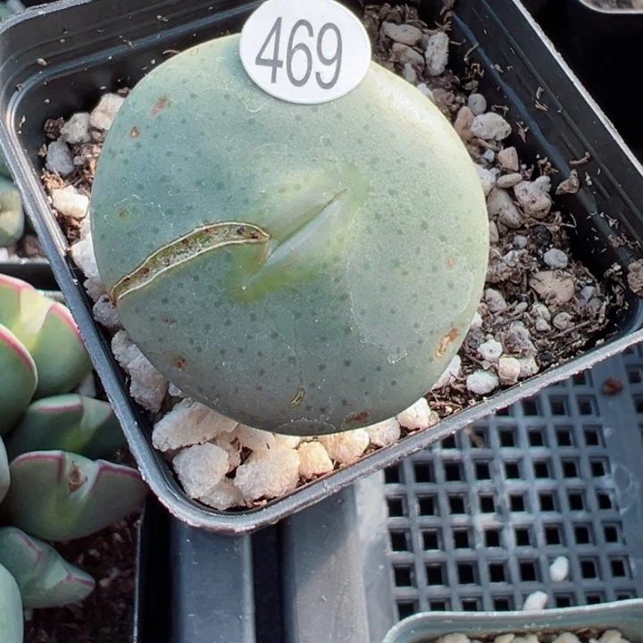 469干111111111111111111