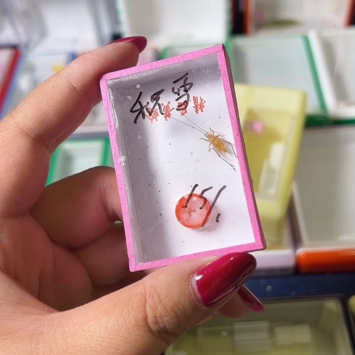 积***化蟋蟀哈哈哈哈哈哈哈哈哈哈