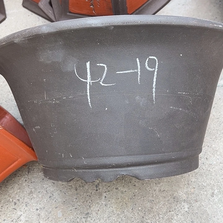 周深周深周深周深