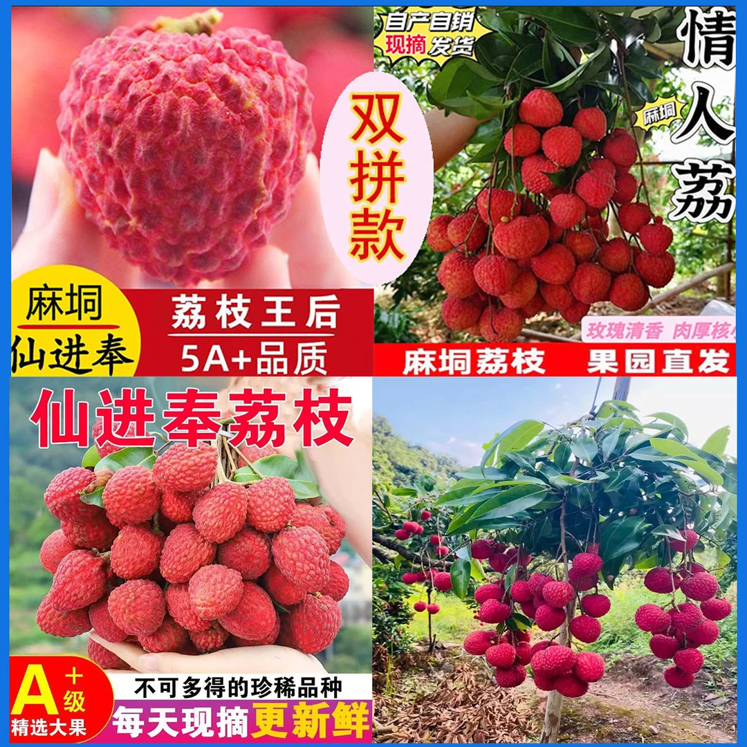 【顺丰包邮】广西产地直发麻垌荔枝皇后仙进奉双拼情人荔新鲜荔枝