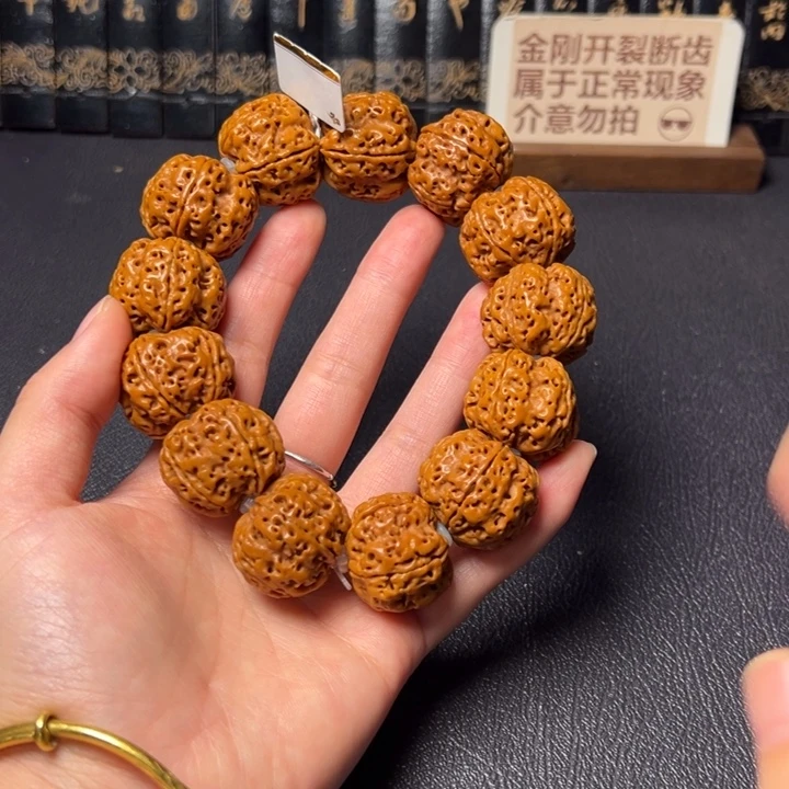 手串金刚菩提霸王龙