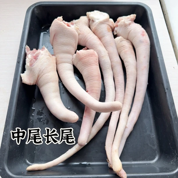 猪长尾-农家散养笨猪长尾整根烤毛发