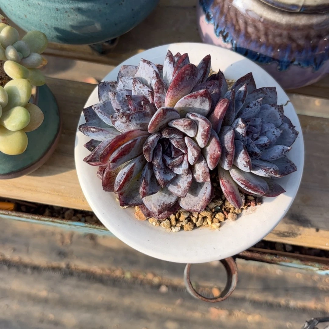 你***．1111111111111111111111