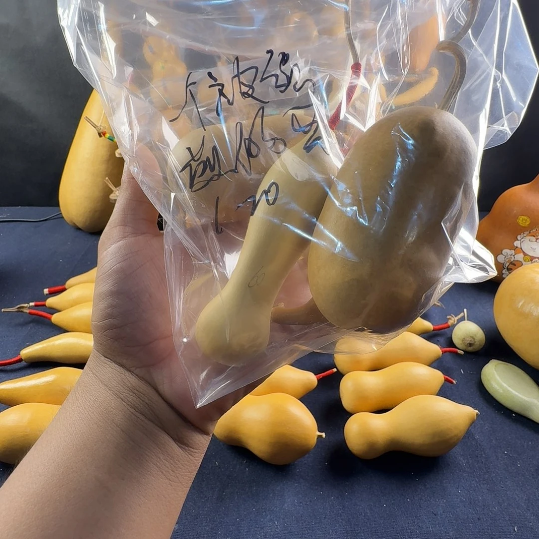 一****蛋葫芦葫芦真的超级好看