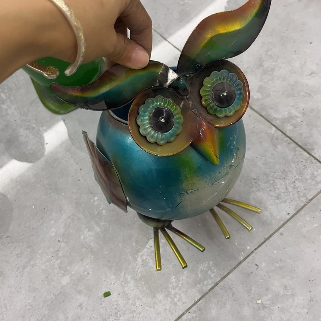 都好好看哈哈哈哈哈哈