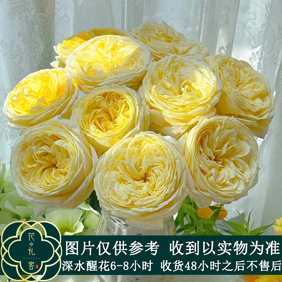 七叶花坊# 【索菲亚】鲜花优选 顺丰直发