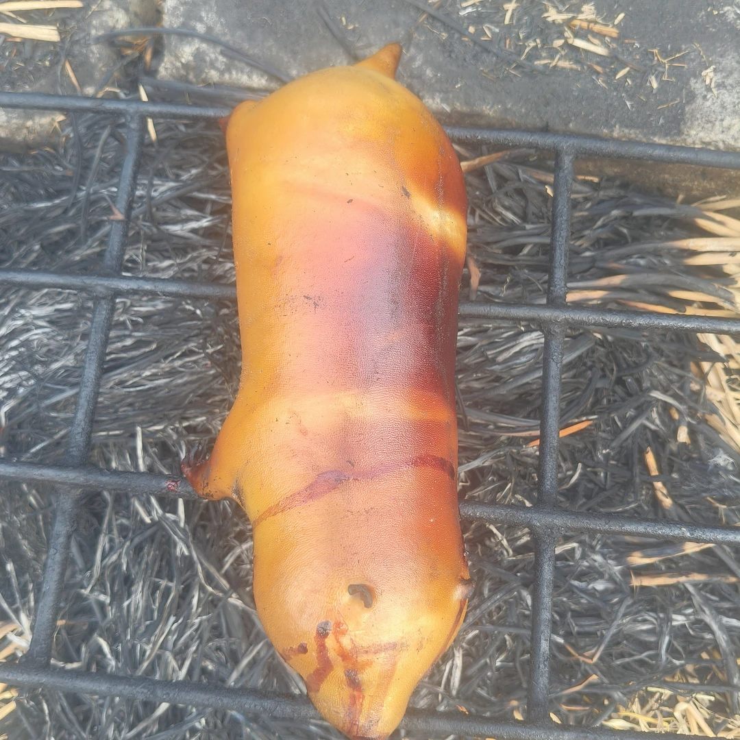 农家自养，顺丰包邮，现处理现发新鲜稻香竹子鼠