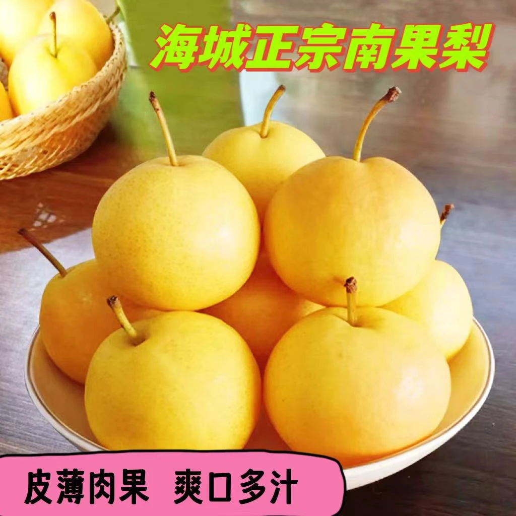【特价】东北特产 海城正宗南果梨 产地直发 现摘现发