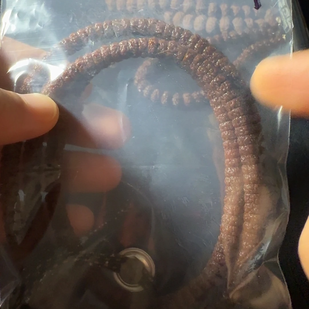 吊坠金刚菩提一代盘龙薄切神片