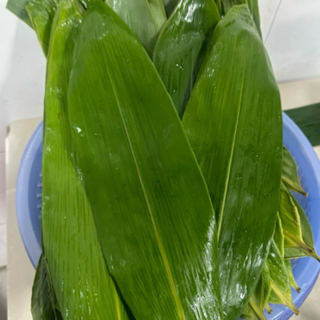 湖北恩施新鲜粽叶现摘现发粽子叶