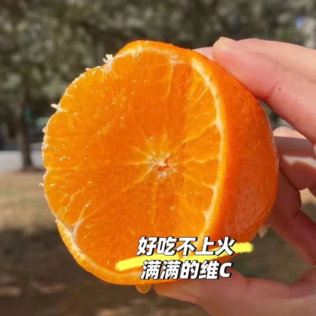 云南玉溪沃柑新鲜水果应季水果现采现发