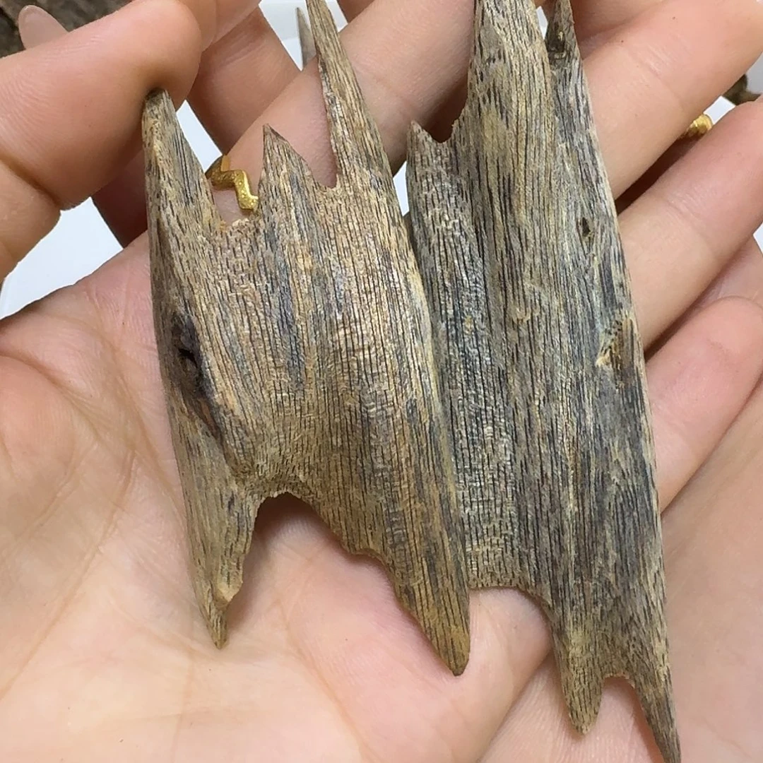 愿***天沉香沉香碎屑奇楠母树沉水虫漏21克