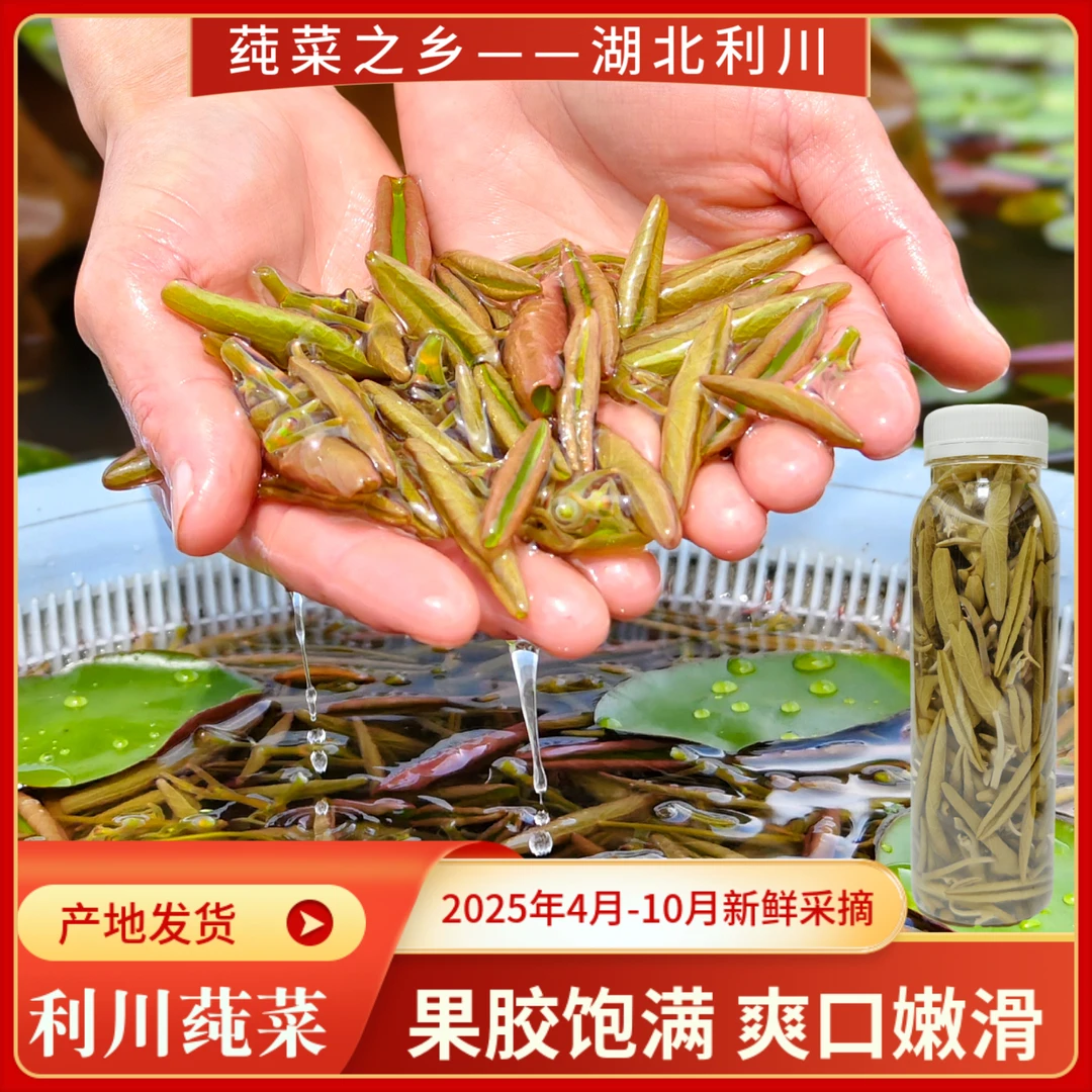 利川新鲜莼菜2025年当季采摘高山特产蔬菜产地发货凉拌烧汤瓶装