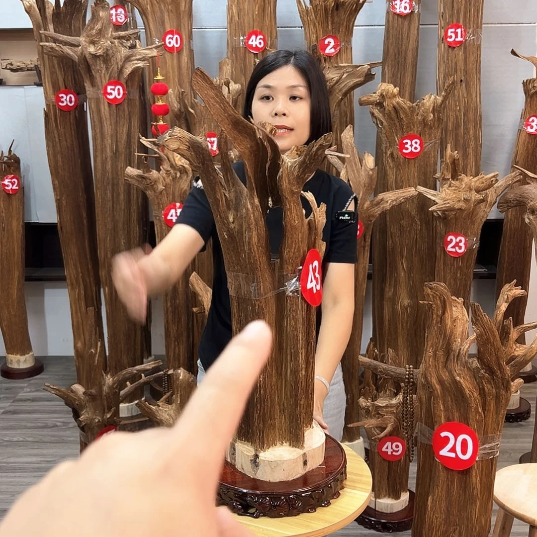 沉香沉香碎屑用****0沉香