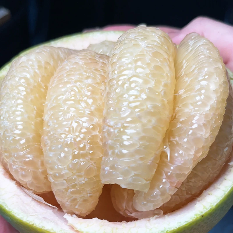 【果肉细腻多汁】福建文旦柚红心柚子现摘水果红心柚多汁皮厚2~9斤