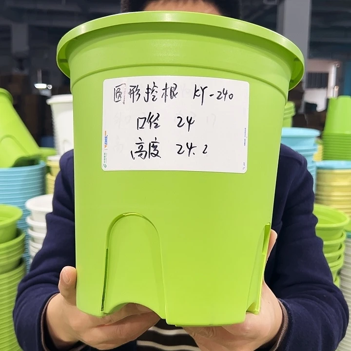 正品圆控口24高24白色8只无托