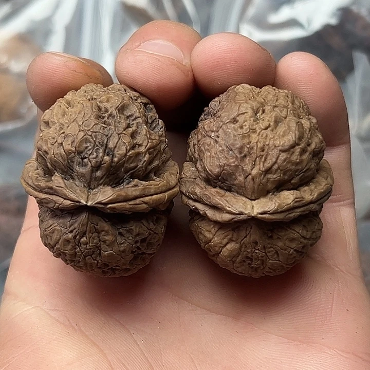 核桃53号粗筋大嘴42尺