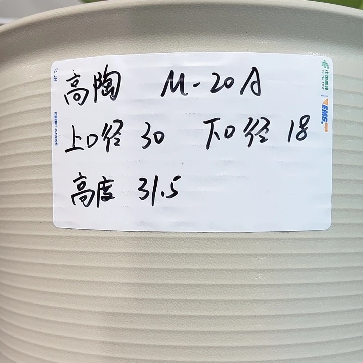 正品高陶口30高31混色3个无托