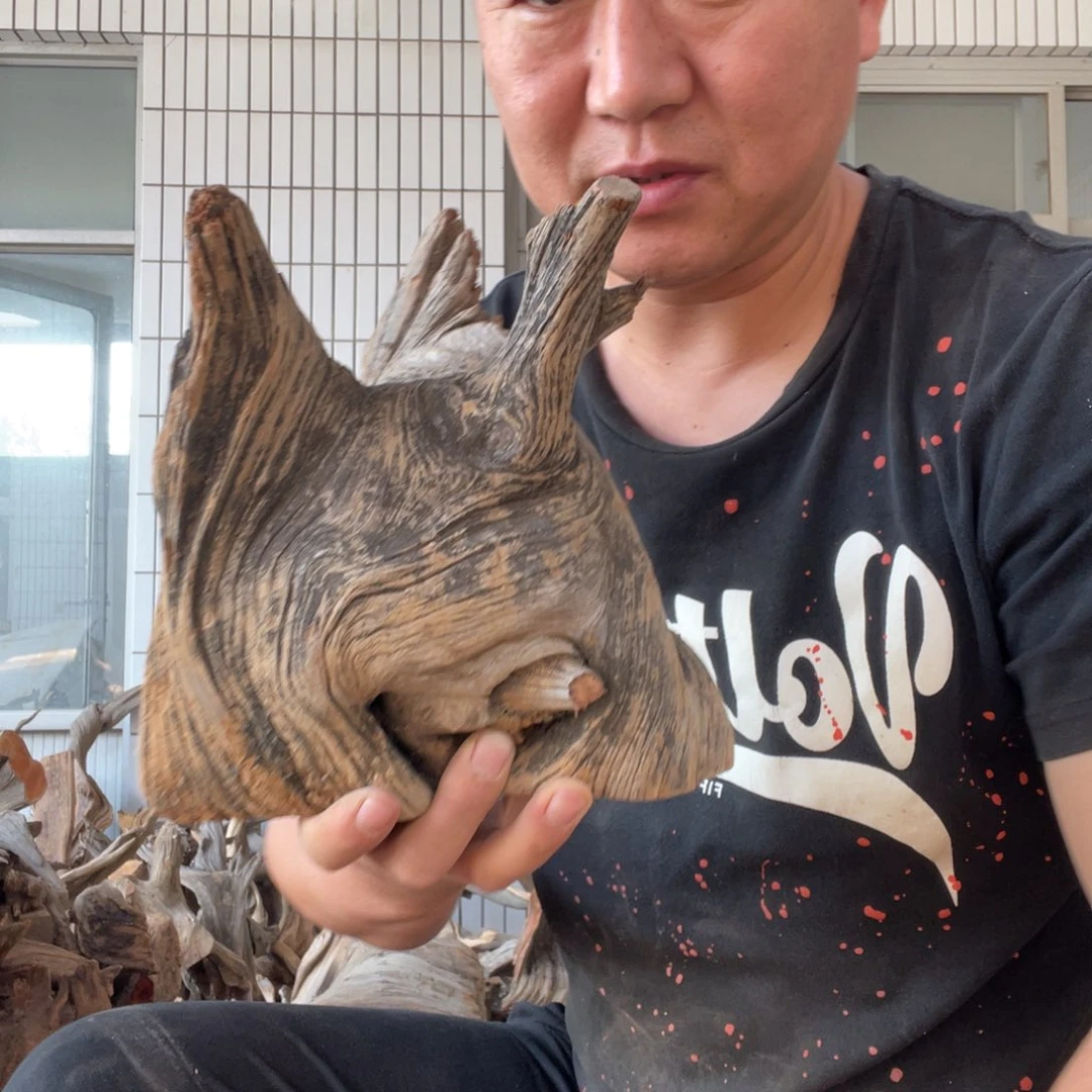 柏木天***、啊啊啊啊啊啊啊啊啊啊啊
