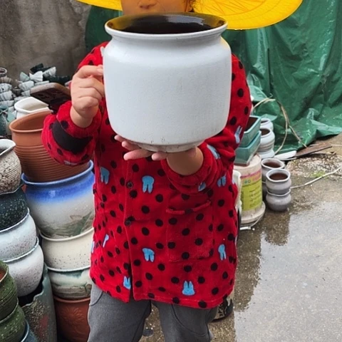 21口22高瑕疵一个盆。