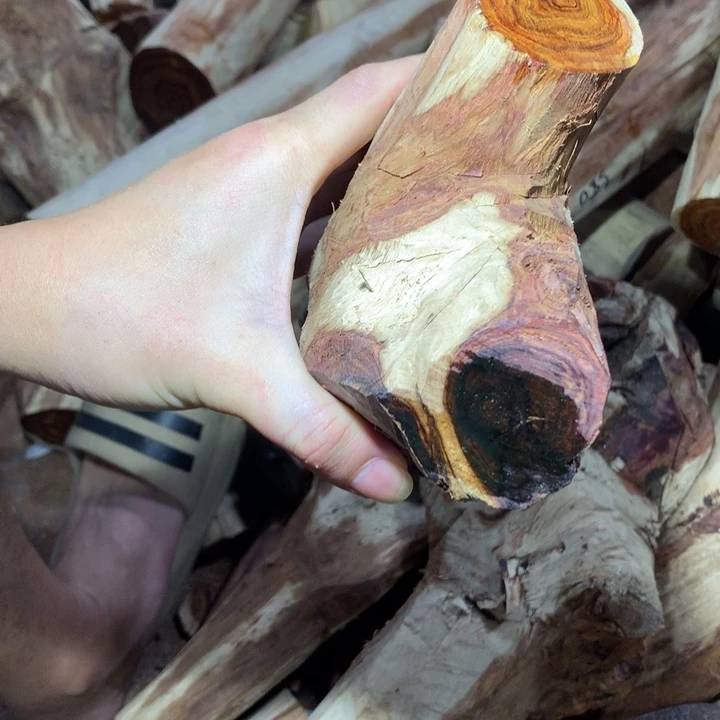 花梨木类海南黄花梨
