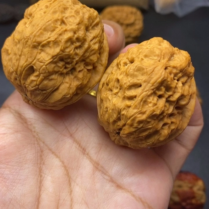 文玩核桃把件43尺金蟾王