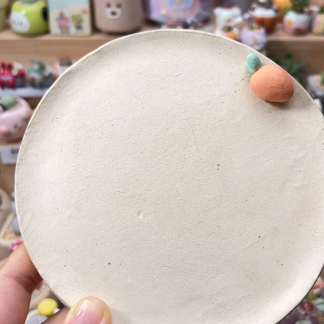 多肉植物126号托盘