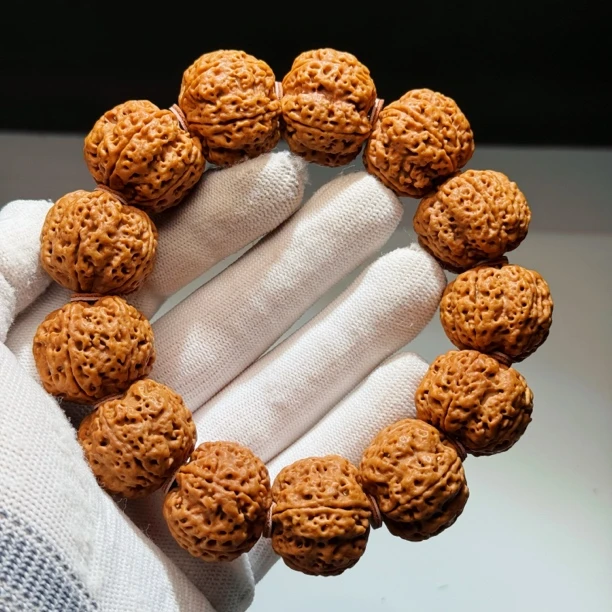 A530毕业大金刚粗筋高油五瓣玉化皮金刚菩提菩提手串