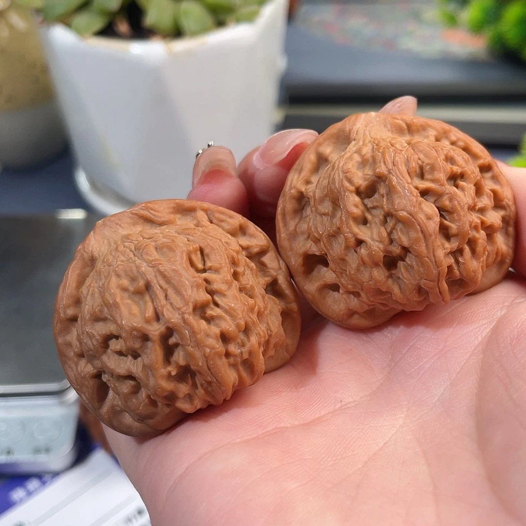 文玩核桃把件红狮子42 S21号