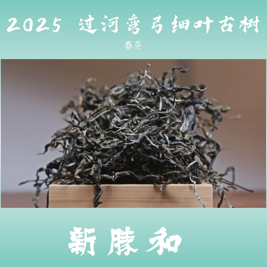 【 2025过河弯弓细叶 】春茶生茶 手工盒装 长期储存普洱茶 散茶