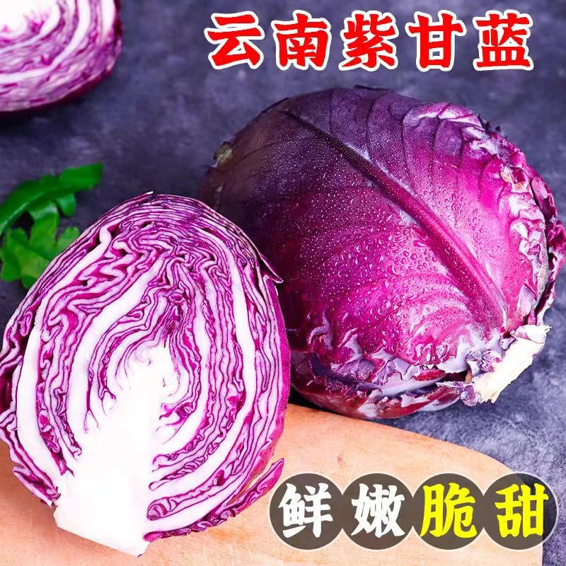 【云南助农】高山紫甘蓝新鲜蔬菜时令农家种植清脆爽口沙拉卷心菜