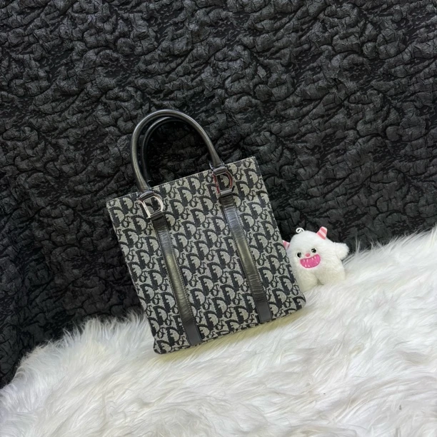 95新 DIOR/迪奥 老花风琴托特手提包