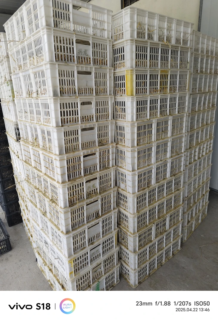 家禽运输框 顺丰包邮