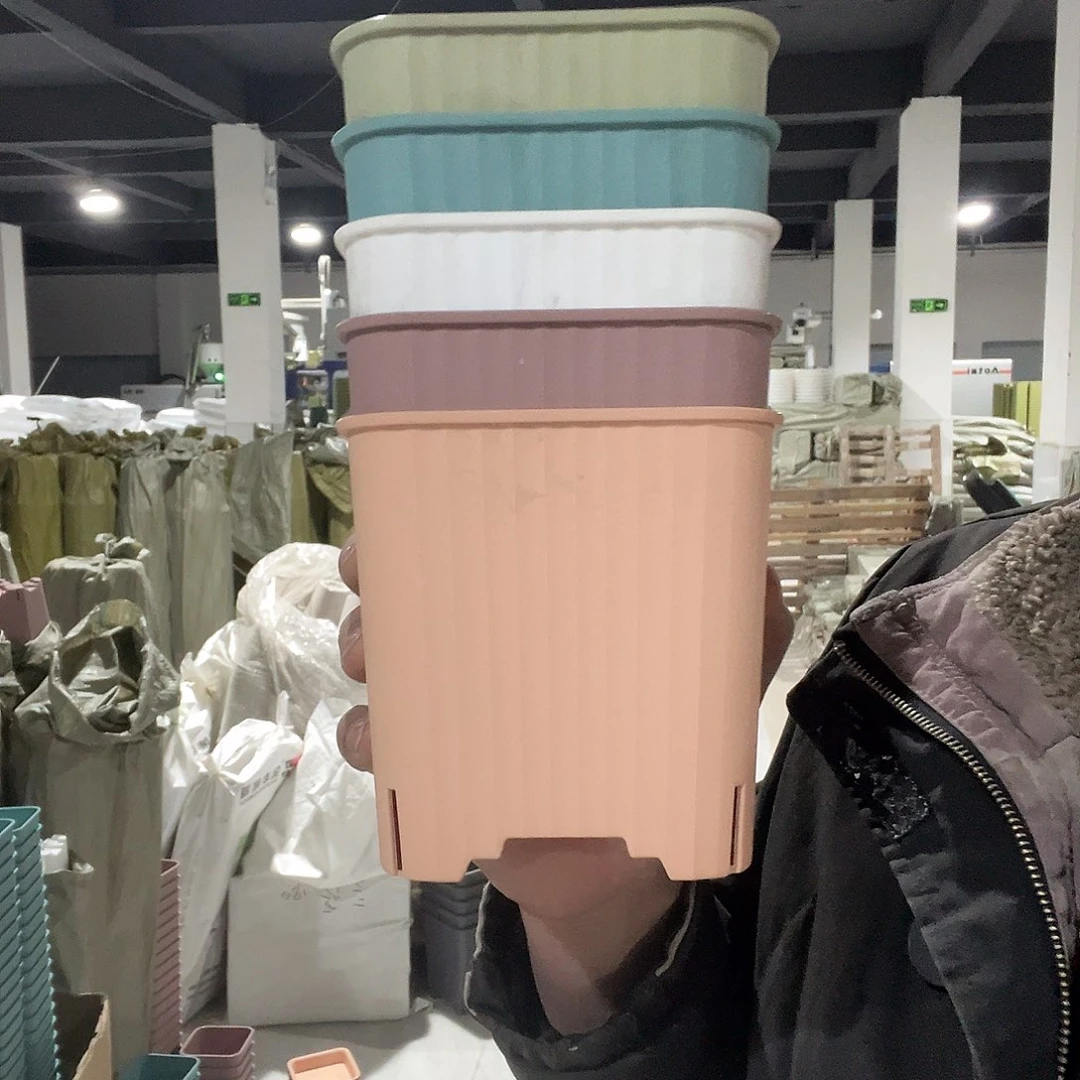 14方混色5个无托盘