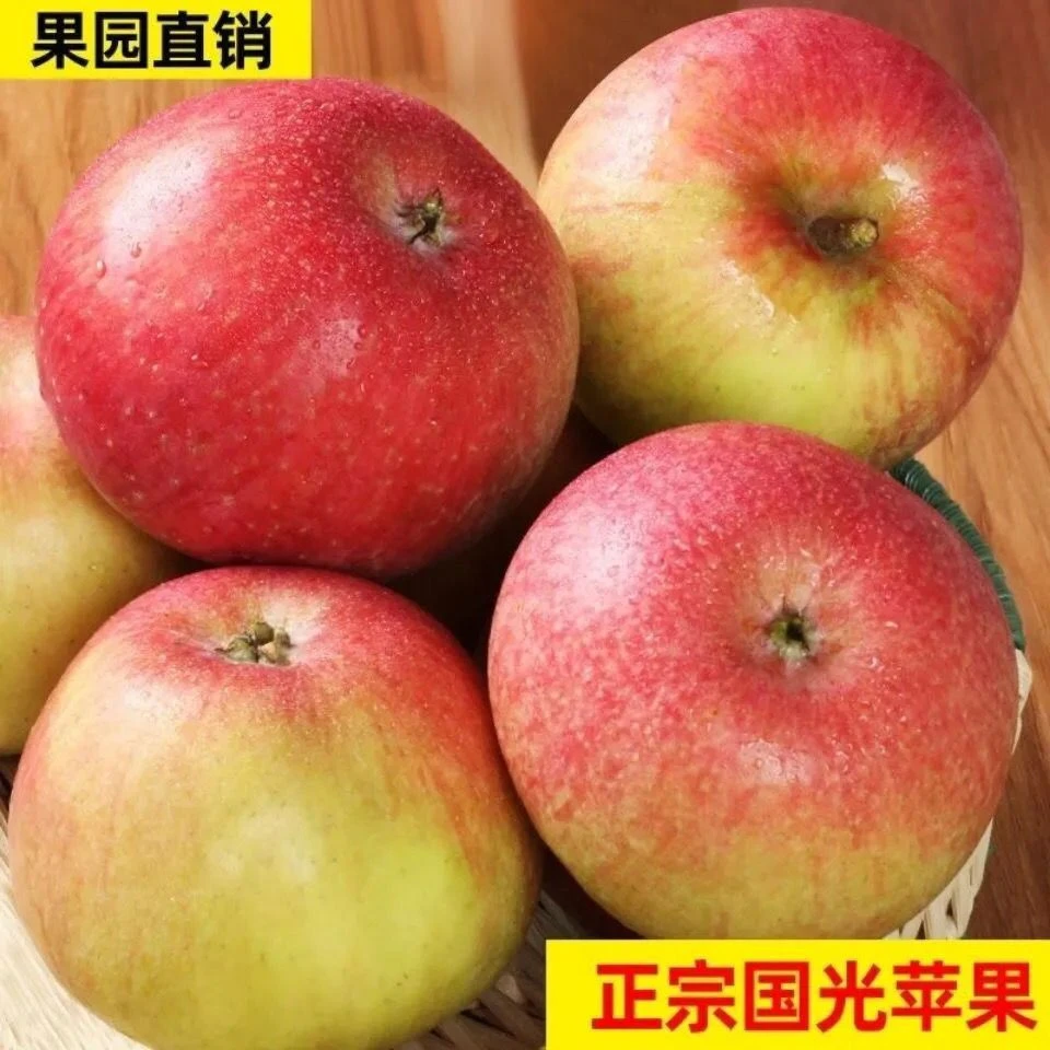 北京密云特产老树国光苹果刚下树顺丰包邮新鲜酸甜可口孕妇水果北京市