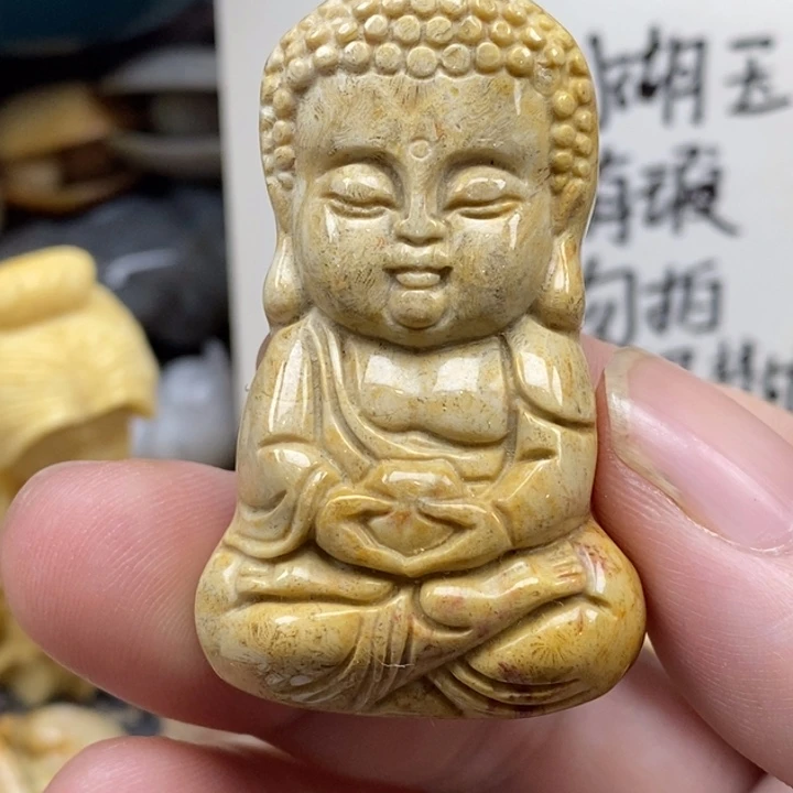 硅化珊瑚（珊瑚玉）未镶嵌颈饰