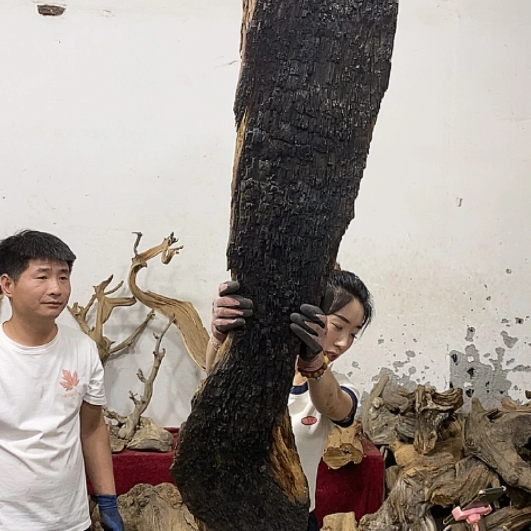 【闪购商品】柏木上****啦我们都是好孩子